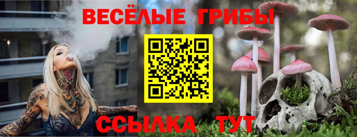 Галлюциногенные грибы Magic Shrooms Новочебоксарск